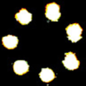 Meet your Posher, Chris cortney